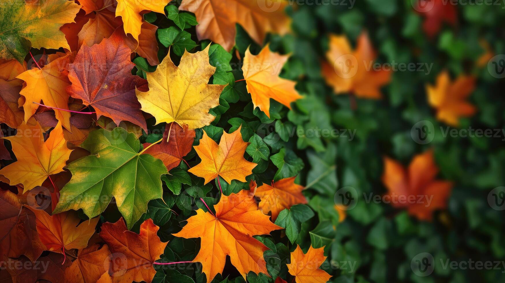 ai generato il sfondo Immagine quello è verde, il colori di il autunno le foglie siamo Perfetto, adatto per di stagione uso. foto