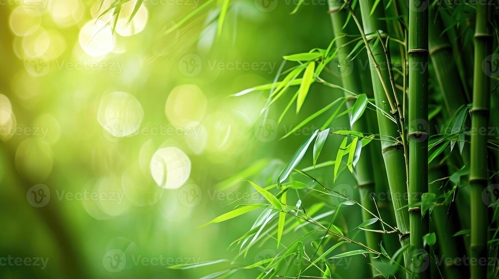 ai generato bambù foresta e verde prato erba con naturale leggero nel sfocatura stile. bambù verde le foglie e bambù albero con bokeh nel natura foresta. natura modello Visualizza foto