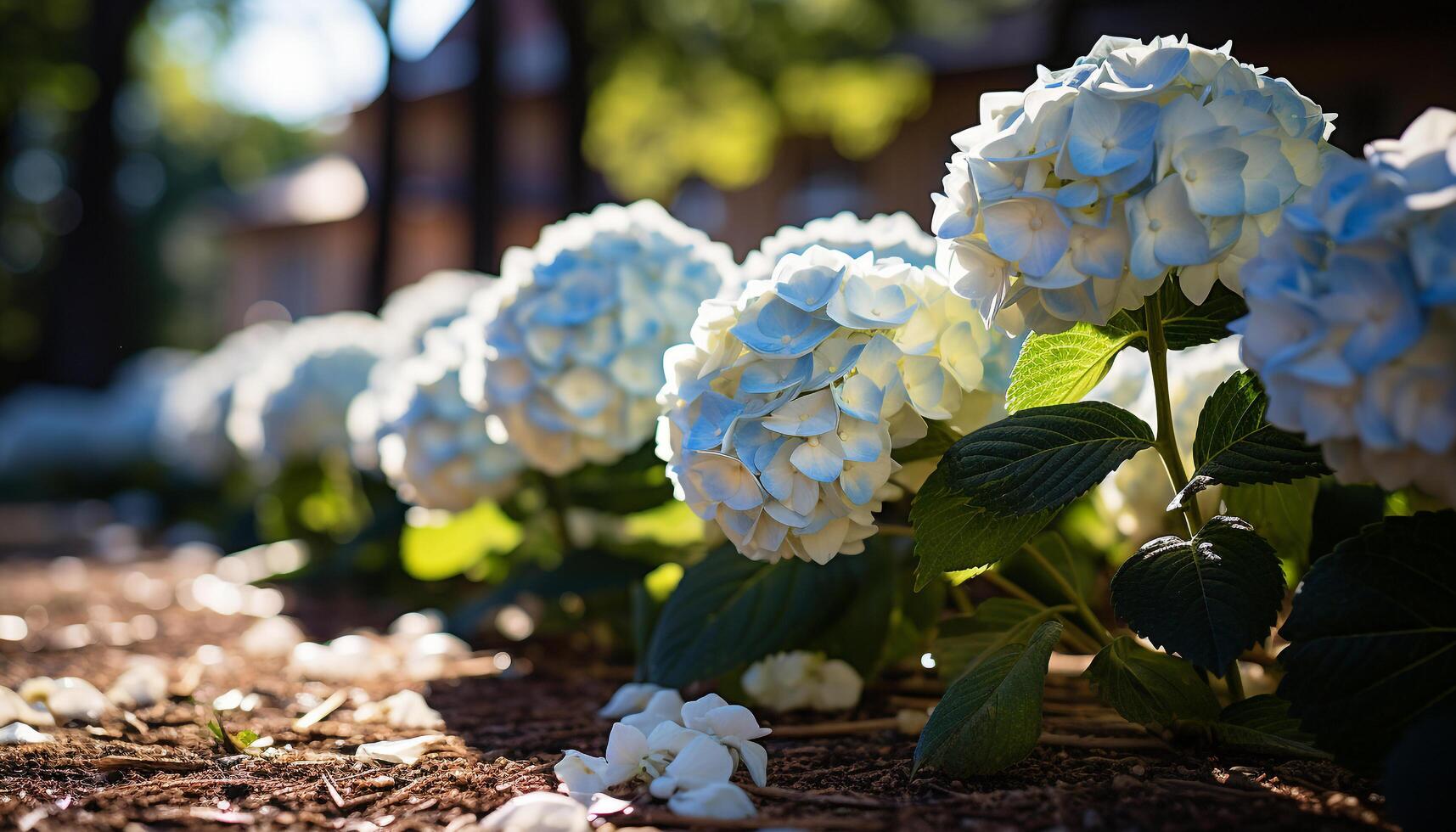 ai generato fresco ortensia fiorire porta bellezza per formale giardini generato di ai foto