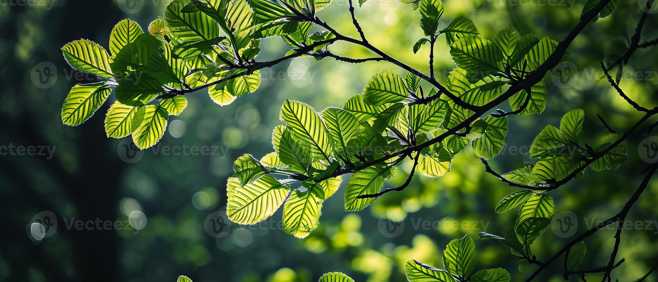 ai generato screziata leggero su foresta le foglie foto