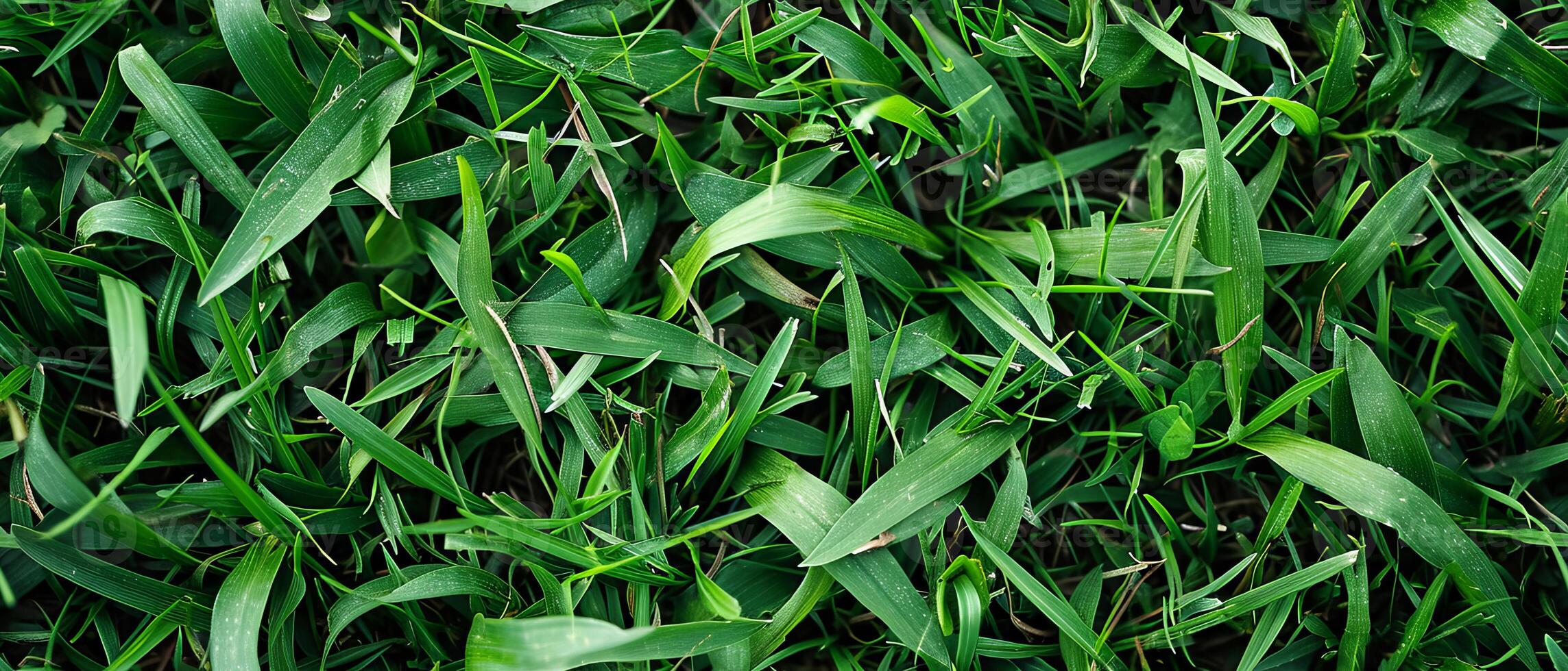 ai generato avvicinamento di denso verde erba con un' varietà di foglia forme foto