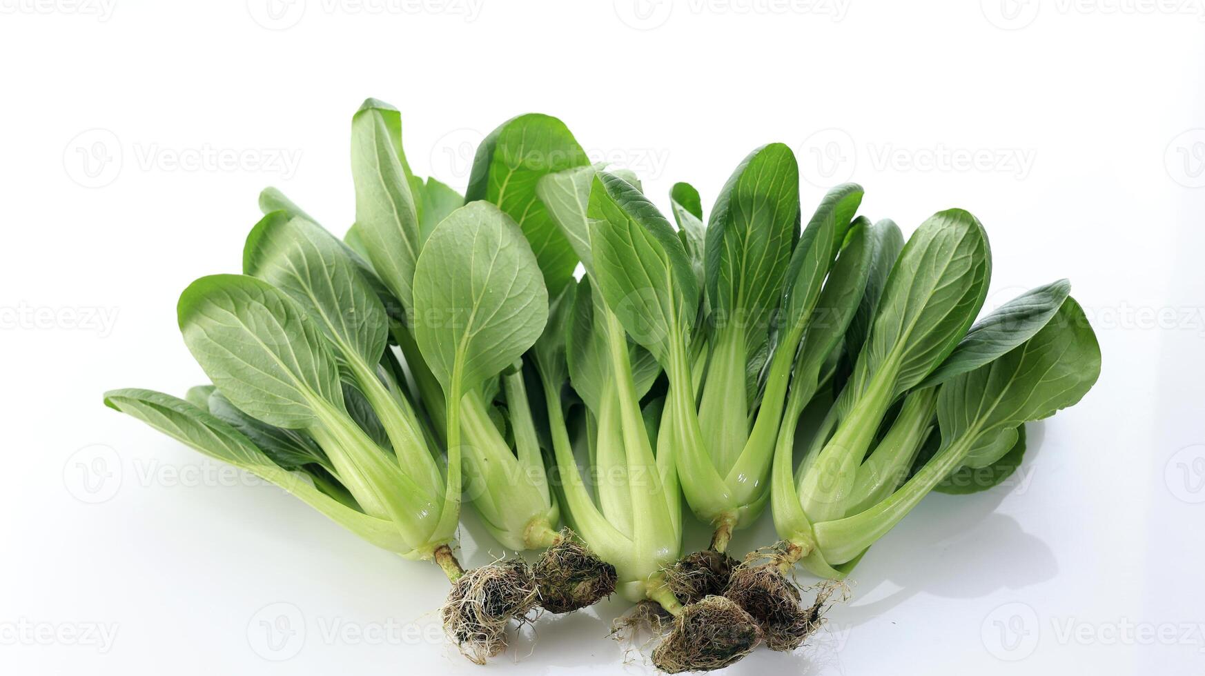 fresco bok choy o pak choi Cinese cavolo foto