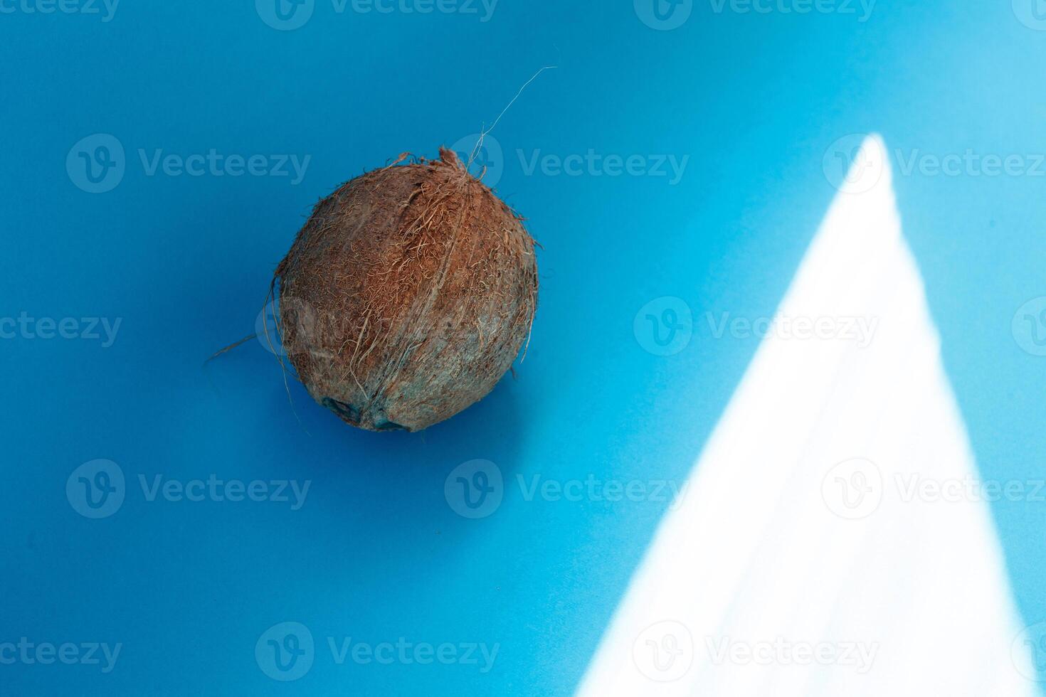Noce di cocco isolato su blu sfondo. ritaglio sentiero foto