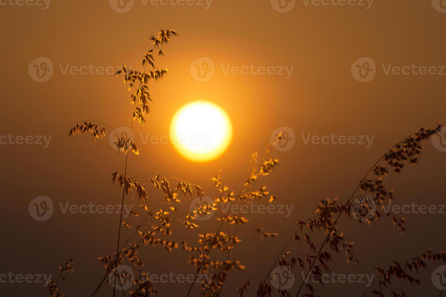 grande sole nel tramonto cielo foto