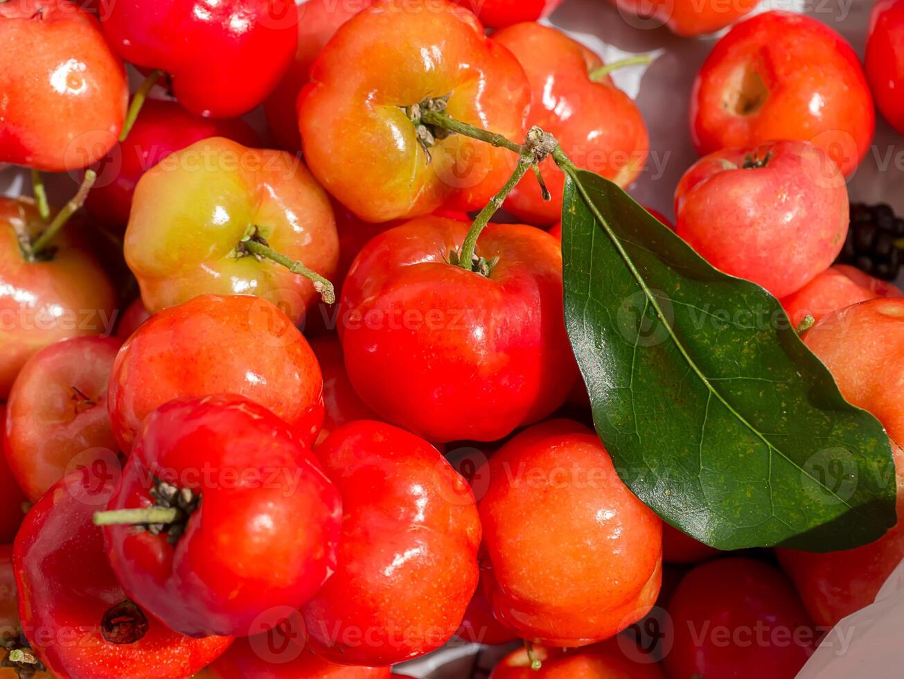 vicino su rosso acerola ciliegia. foto