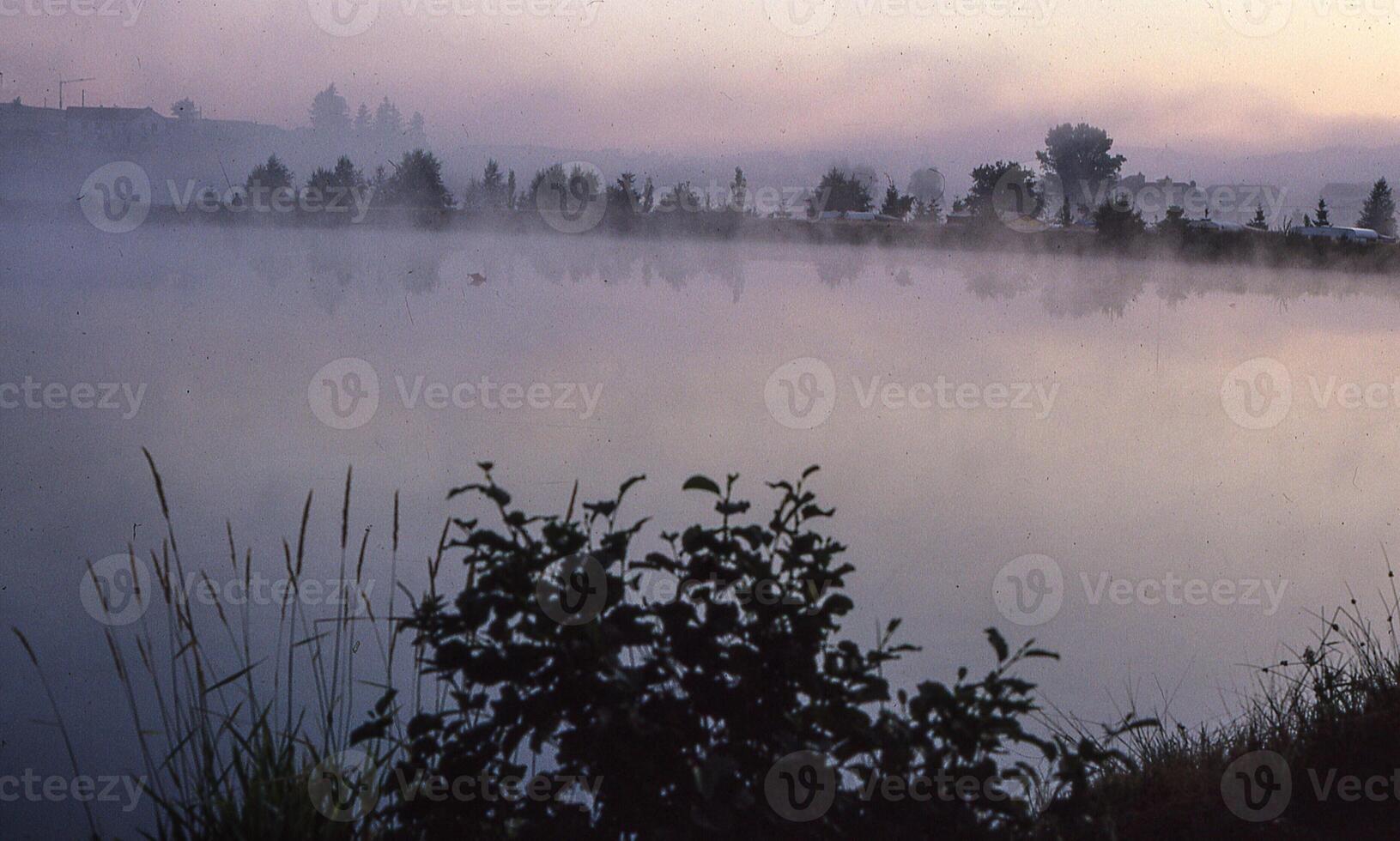 un' lago con nebbia e alberi nel il sfondo foto