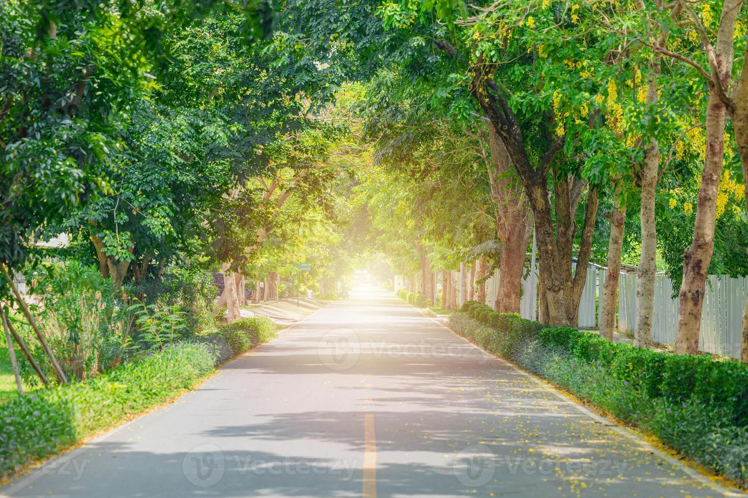 verde strada nel moderno città albero pianta in giro il strada per assorbire carbonio biossido e bene guida fresco ozono foto