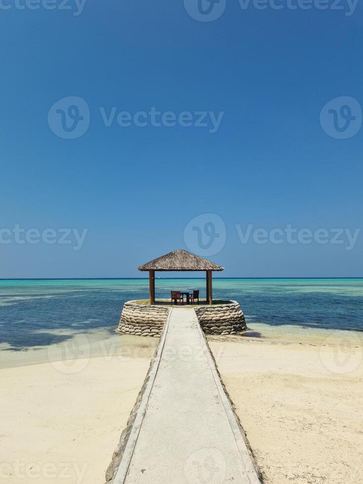 su vacanza su il sognare spiaggia di il Maldive con il unico turchese acque di il indiano oceano. foto