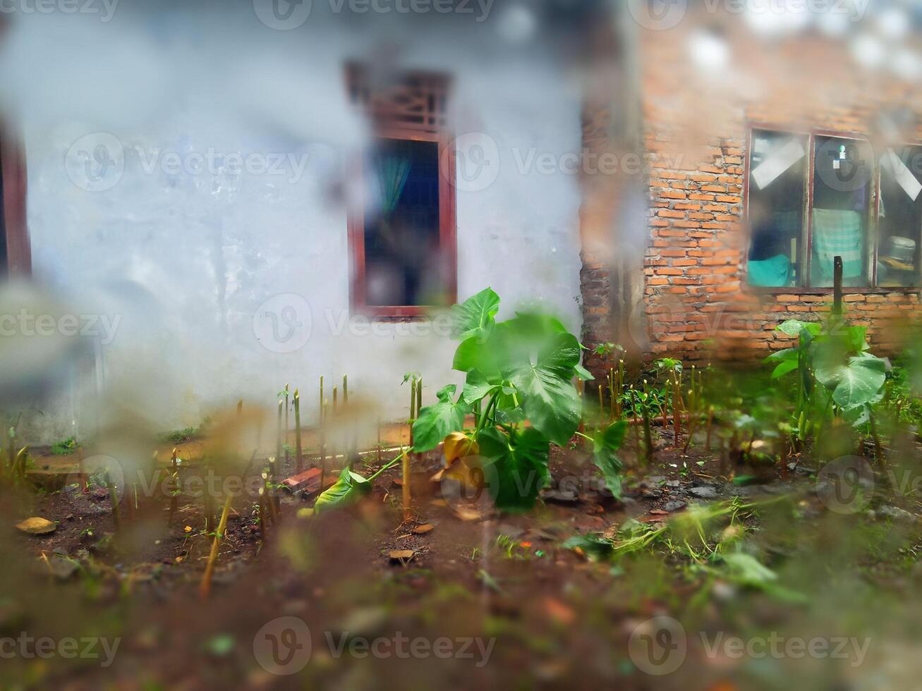 cattura bagnato Casa giardino con un' umido lente ancora foto