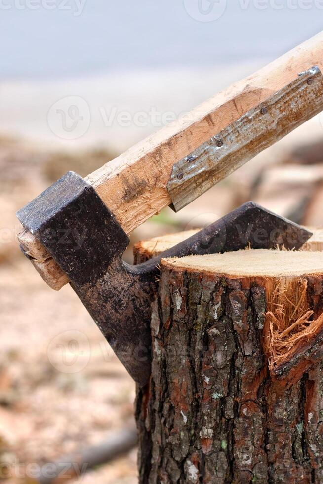 ascia chopping log foto