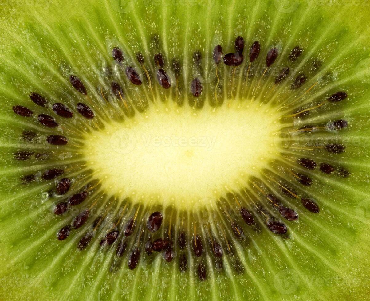Kiwi frutta su bianca foto