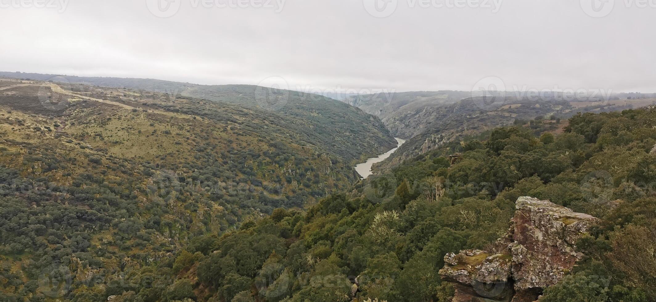 fantastico Visualizza al di sopra di il douro fiume, nel il nord-est di Portogallo. meraviglioso viaggi. foto