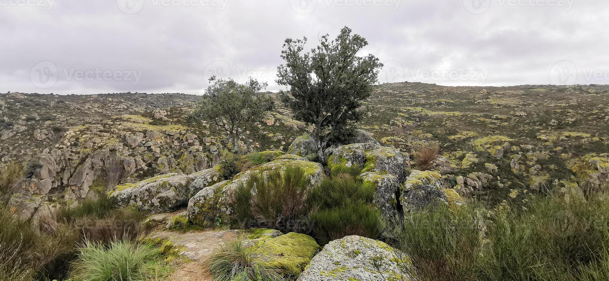 dettaglio di paesaggio nel nord-est Portogallo. meraviglioso viaggio e natura. foto