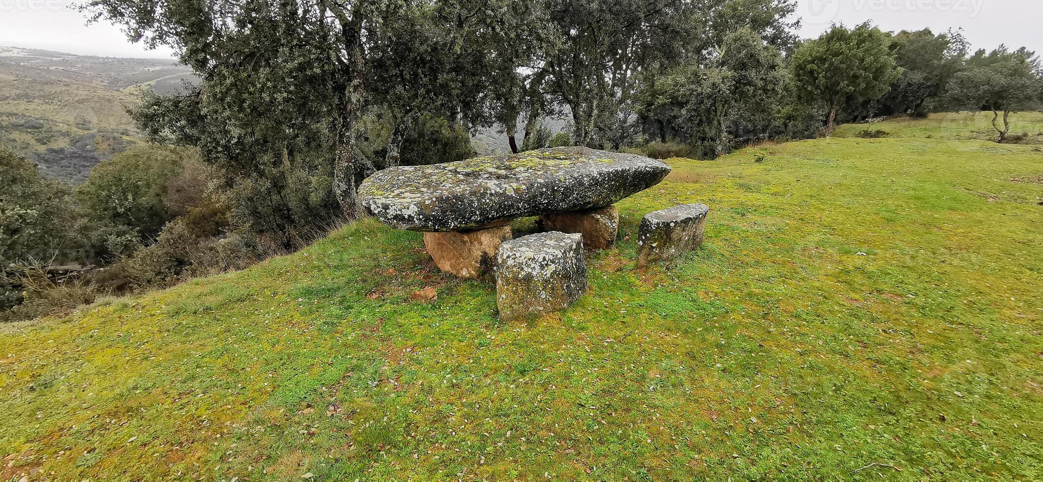 dettaglio di paesaggio nel nord-est Portogallo. meraviglioso viaggio e natura. foto