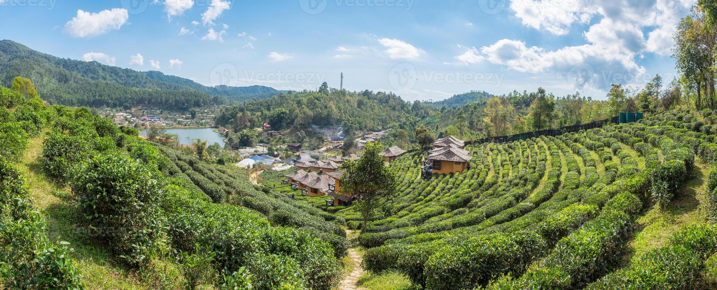 punto di vista resort terra casa nella piantagione di tè a lee wine ban rak thai foto