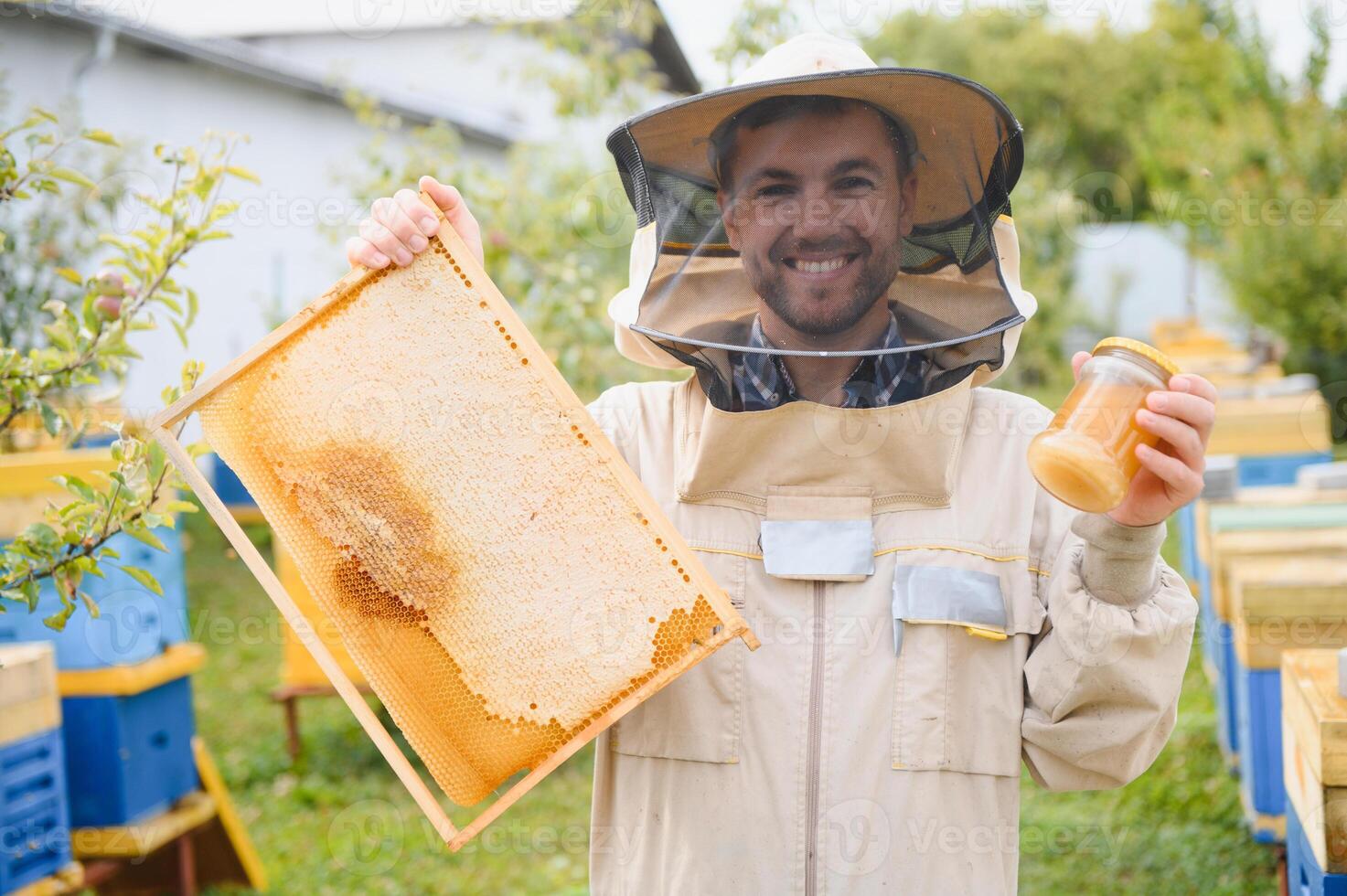 apicoltore Lavorando raccogliere Miele. apicoltura concetto. foto