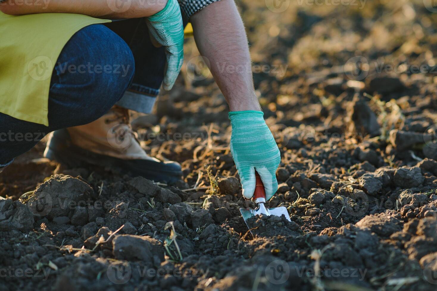 guantato mani e pale pala il suolo.a mano nel un' bianca giardinaggio guanto lavori con un' attrezzo. foto