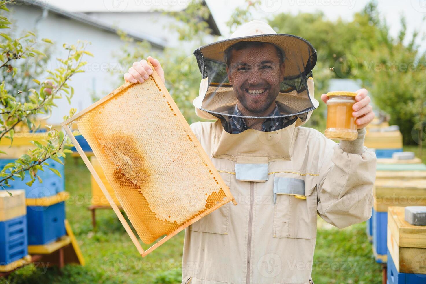 apicoltore Lavorando raccogliere Miele. apicoltura concetto. foto