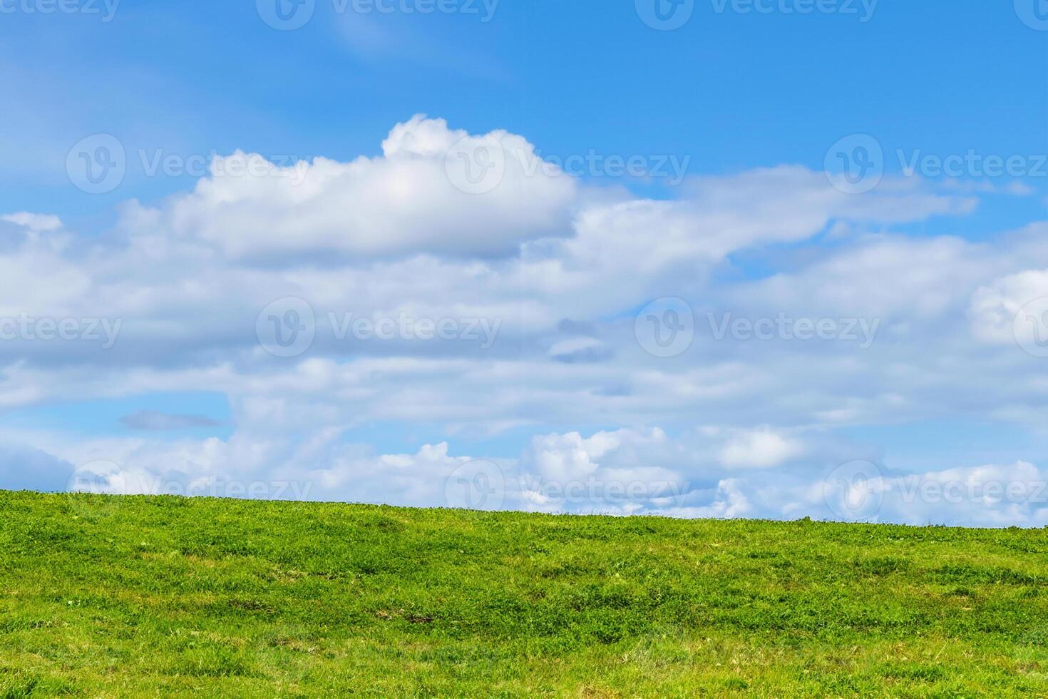 verde erba sfondo mostrando un orizzonte di cumulo soffice nuvole con un' blu cielo nel un agricolo pascolo campo, azione foto Immagine con copia spazio