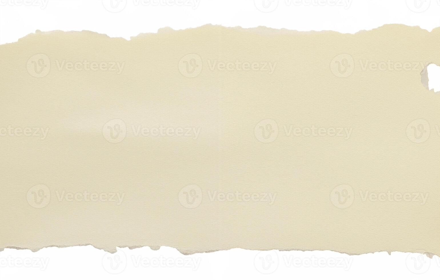 vuoto Marrone strappato Nota carta isolato su bianca sfondo foto