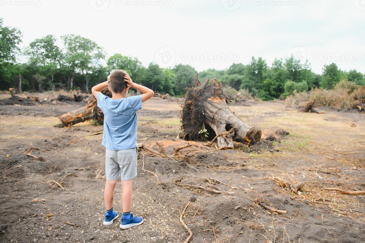 la deforestazione un' triste ragazzo sta nel il mezzo di un' tagliare foresta. foto