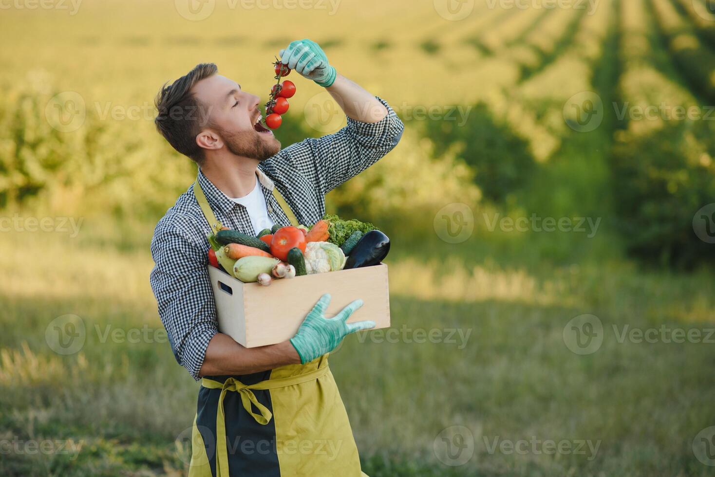 contadino Tenere un' gabbia di bio verdure nel il azienda agricola. contento uomo mostrando scatola di raccolto verdure. foto