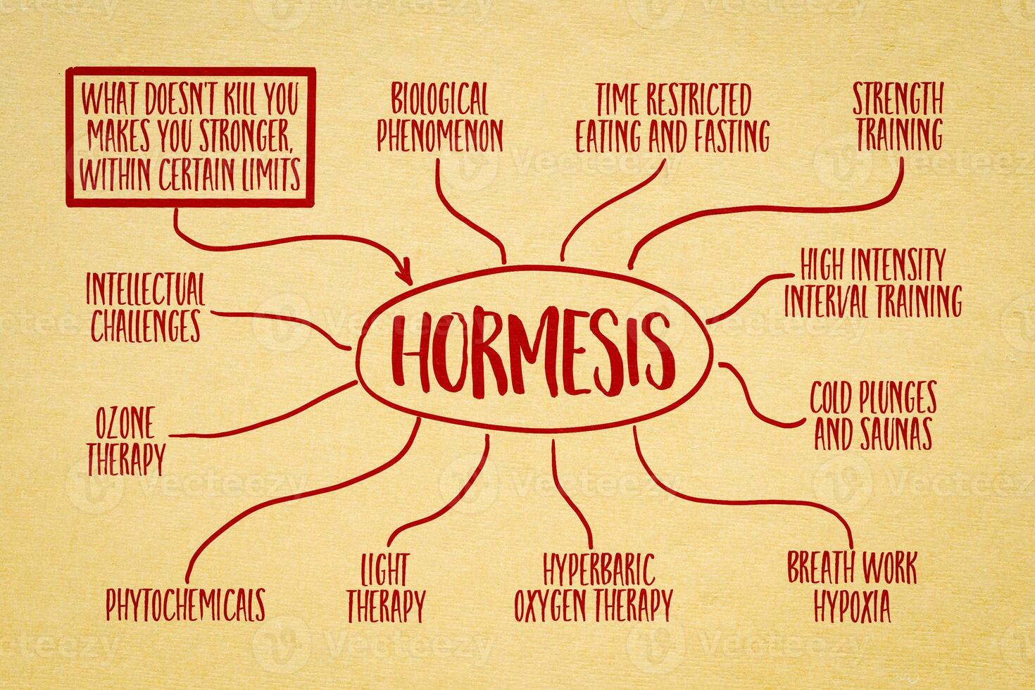 ormesi e ormetico strategie per Salute e benessere - infografica e mente carta geografica schizzo su arte carta, esposizione per Basso dosi di un' fattore di stress o tossina foto