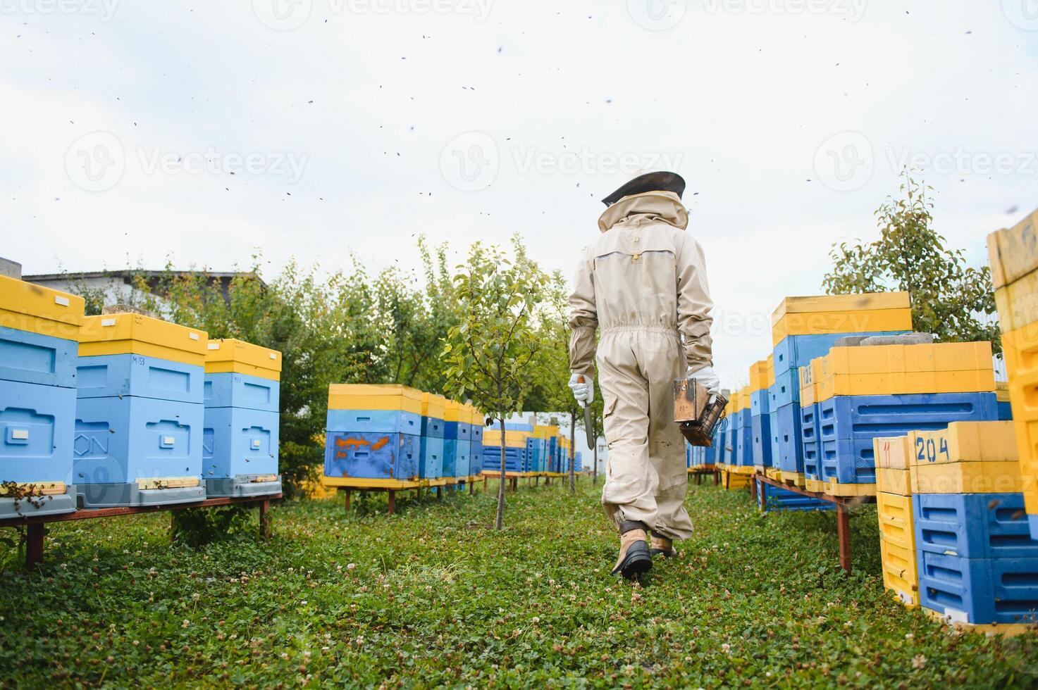 apicoltore è Lavorando con api e alveari su apiario. api su Favo. montatura di ape alveare. apicoltura. Miele. salutare cibo. naturale prodotti. foto