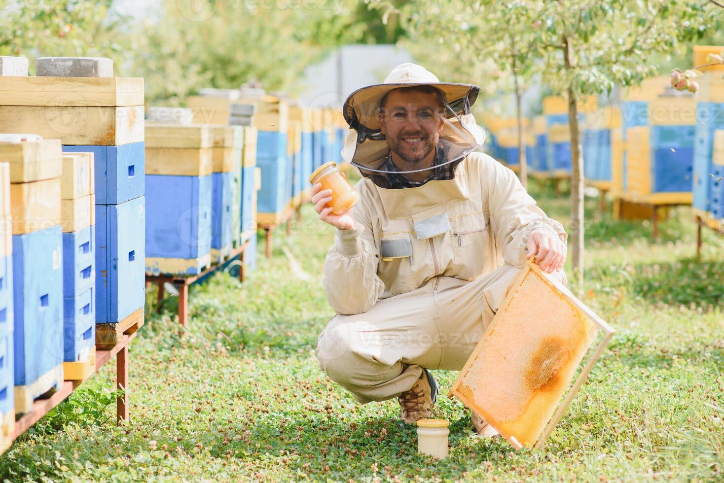 apicoltore è Lavorando con api e alveari su apiario. api su Favo. montatura di ape alveare. apicoltura. Miele. salutare cibo. naturale prodotti. foto