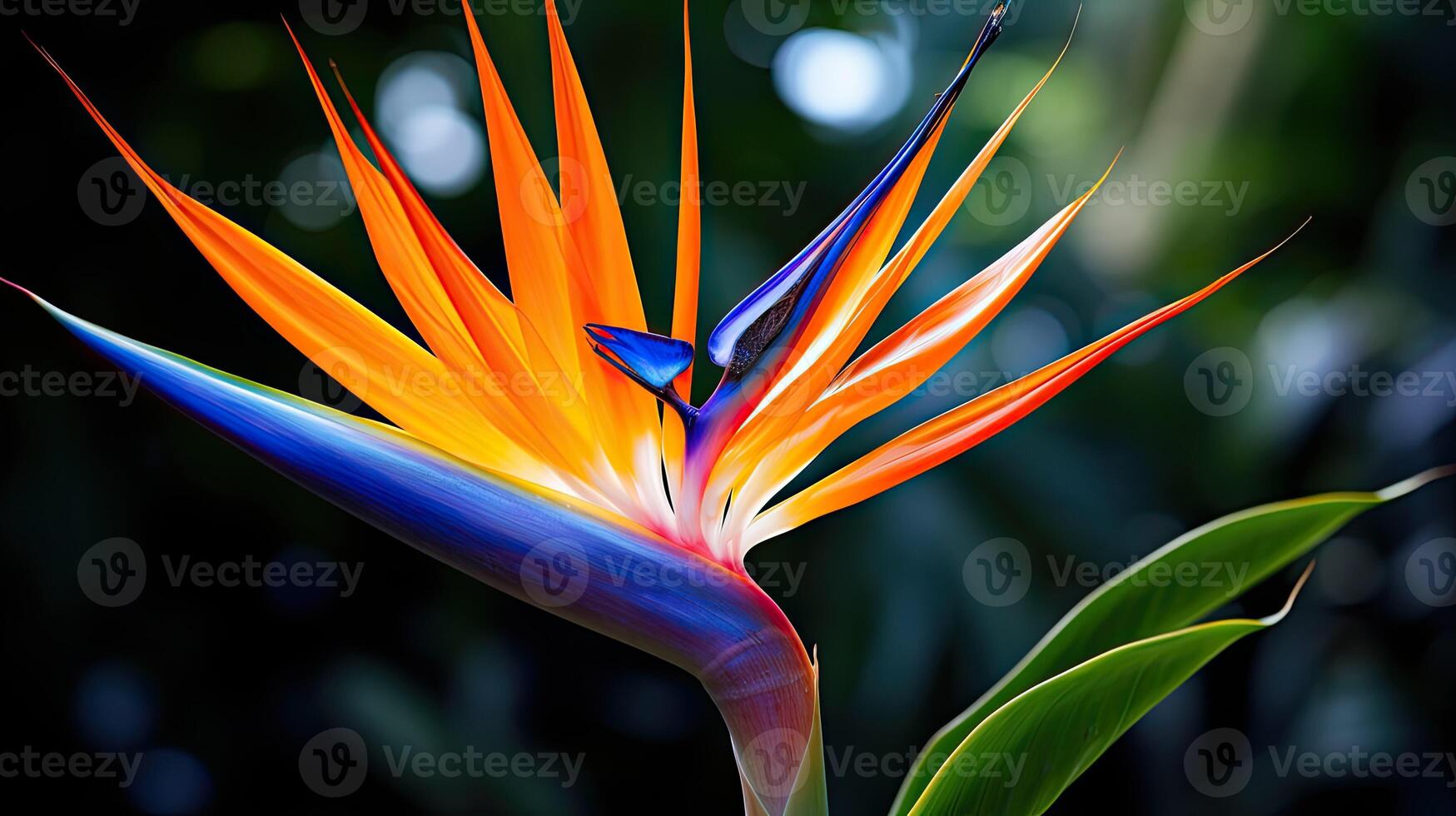 ai generato esotico uccello di Paradiso fiore ai generato foto