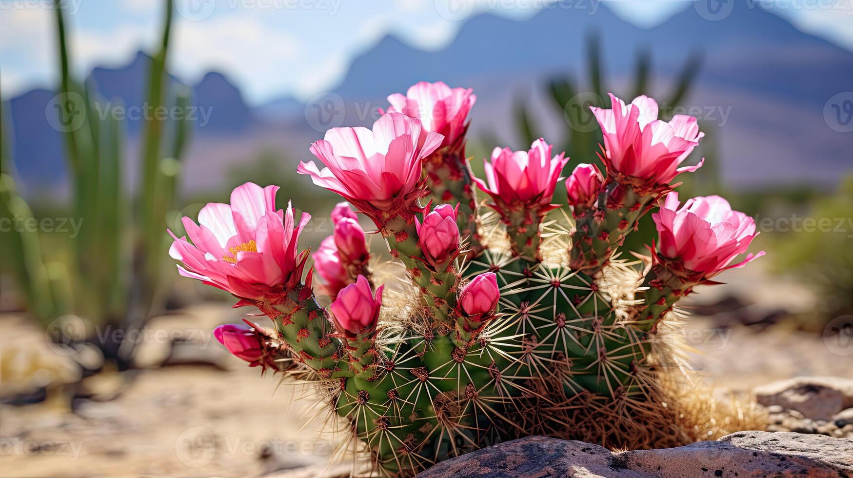 ai generato succulento cactus fiore deserto ai generato foto