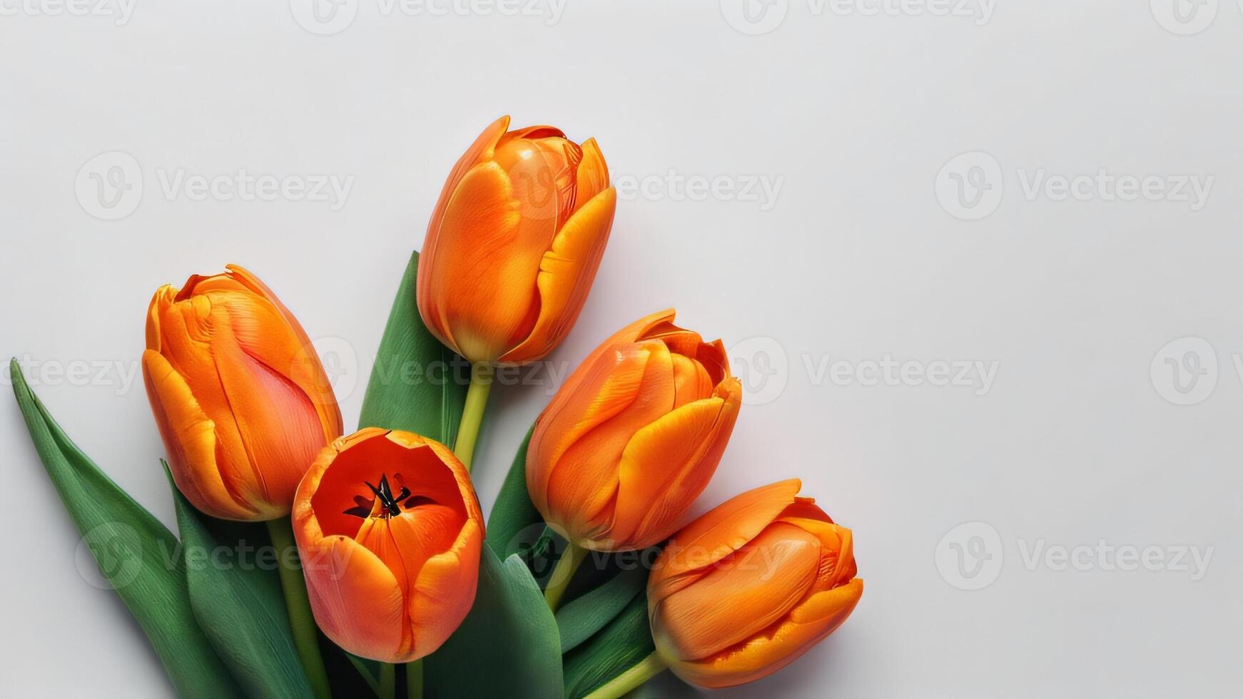 ai generato foto di impostato di arancia colore tulipano fiori isolato su bianca sfondo piatto posizione. ai generato