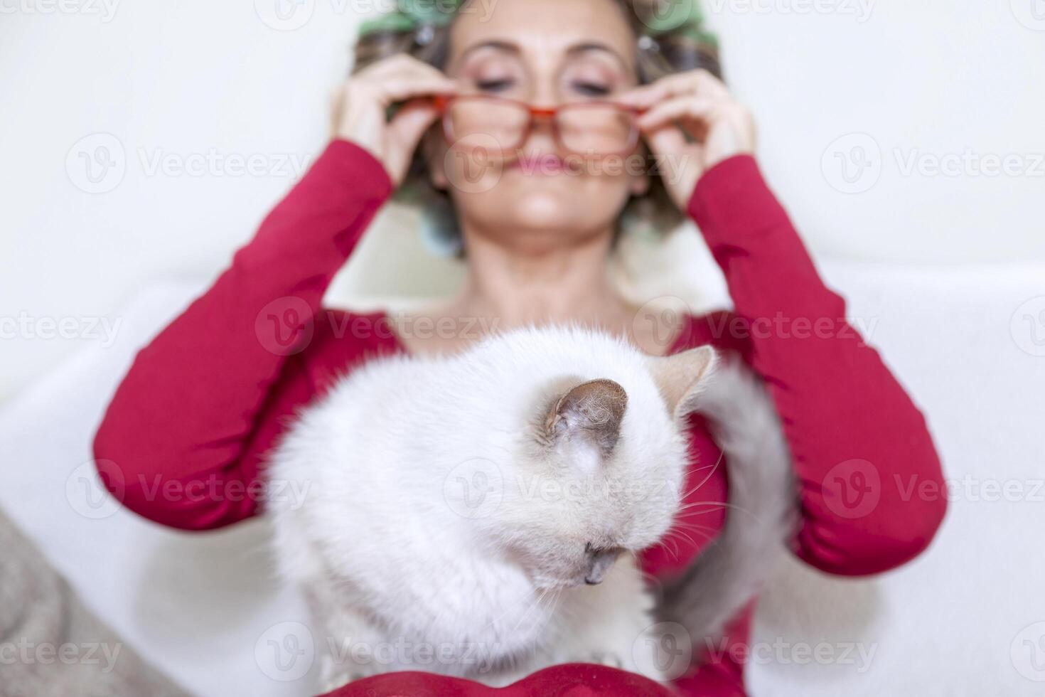 bellissimo signora con bigodini accarezzando il gatto su il divano foto