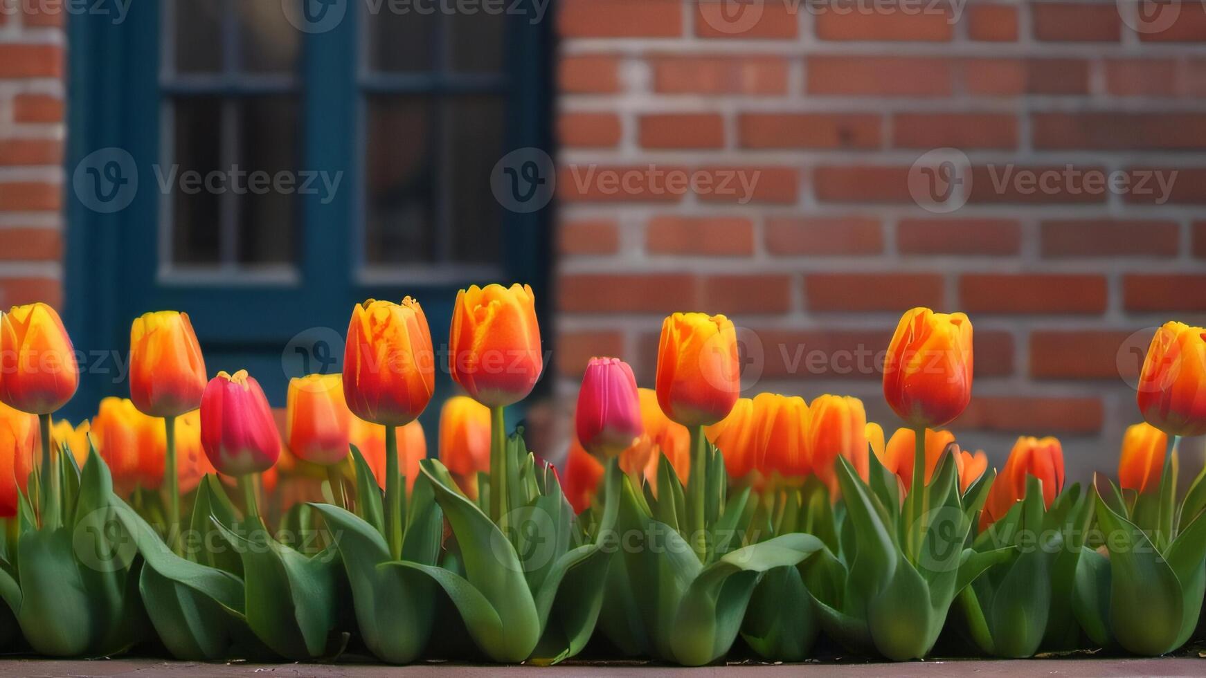 ai generato foto di molti in vaso tulipani siamo fioritura nel davanti di il mattone parete sfondo Immagine. ai generato