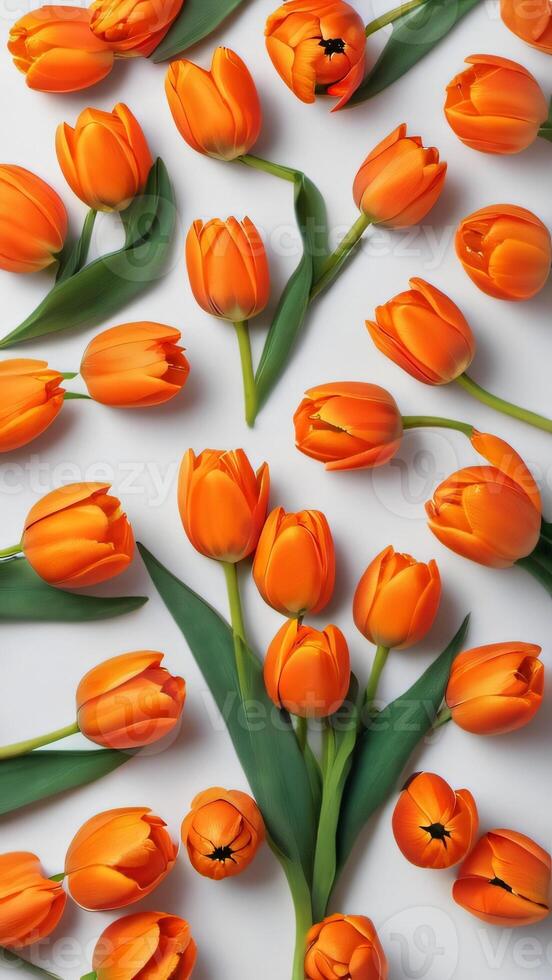 ai generato foto di impostato di arancia colore tulipano fiori isolato su bianca sfondo piatto posizione. ai generato