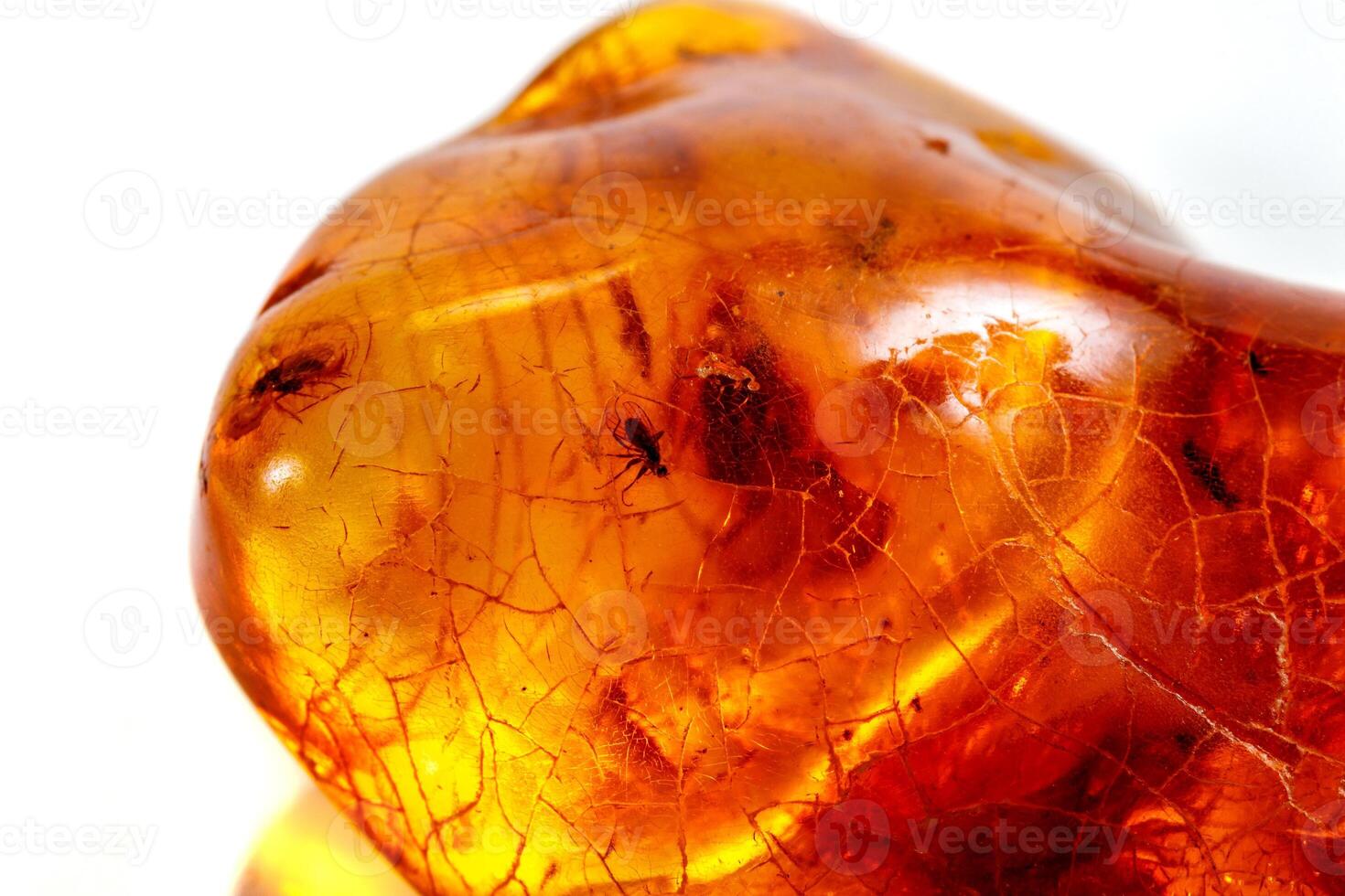 macro pietra minerale ambra con insetti, mosche e coleotteri su un' bianca sfondo vicino su foto