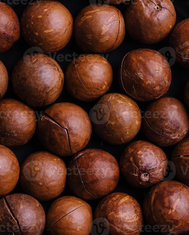 macadamia noccioline vicino su. macadamia noccioline sfondo foto