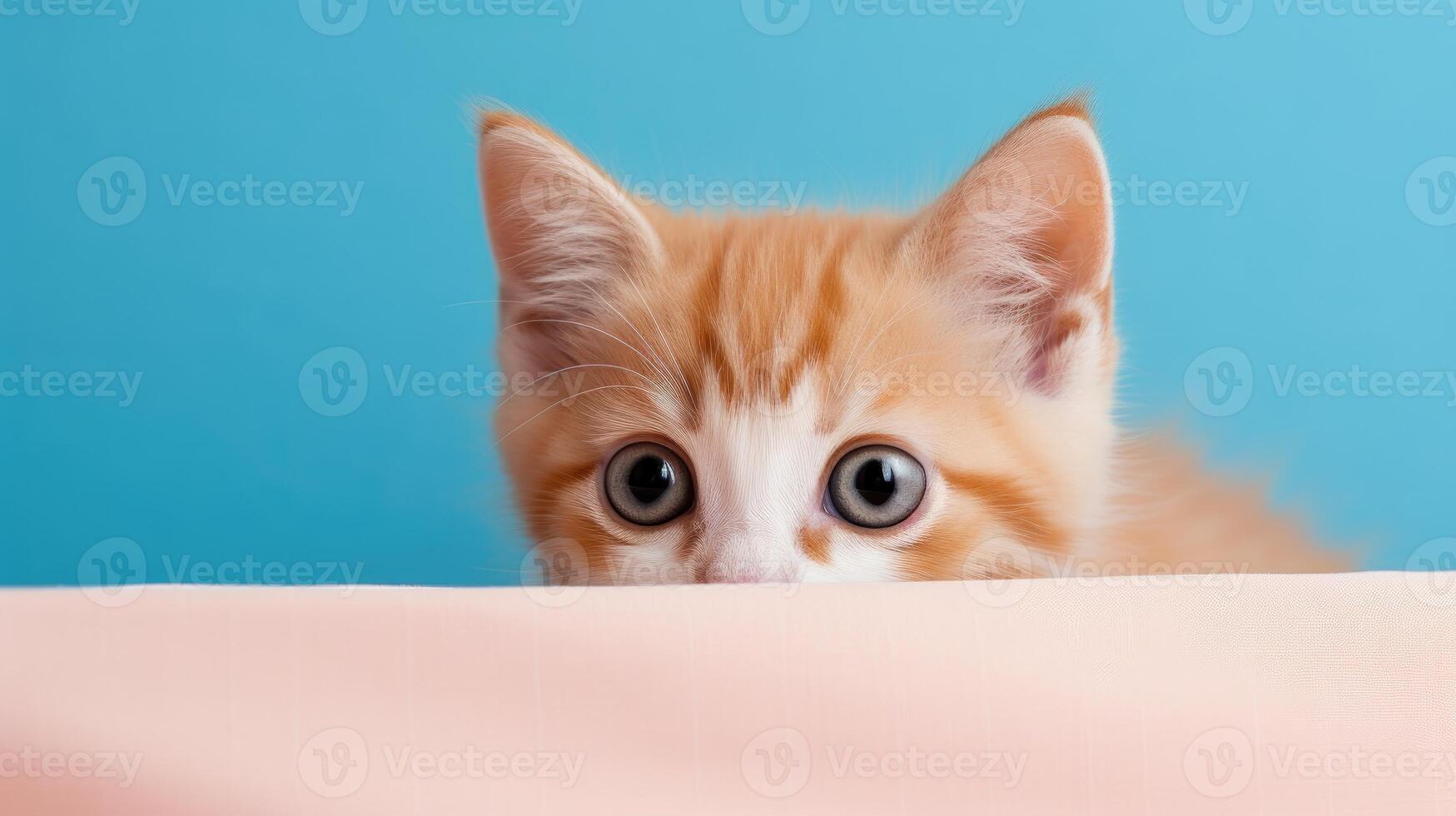 ai generato adorabile arancia e bianca gattino con grande blu occhi curiosamente sbircia al di sopra di bianca bordo contro morbido rosa sfondo, ai generato. foto