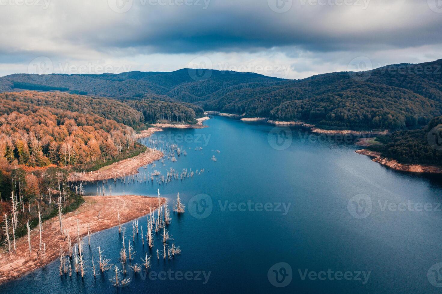 foresta nel autunno con alberi vicino un' lago nel il montagne aereo Visualizza foto