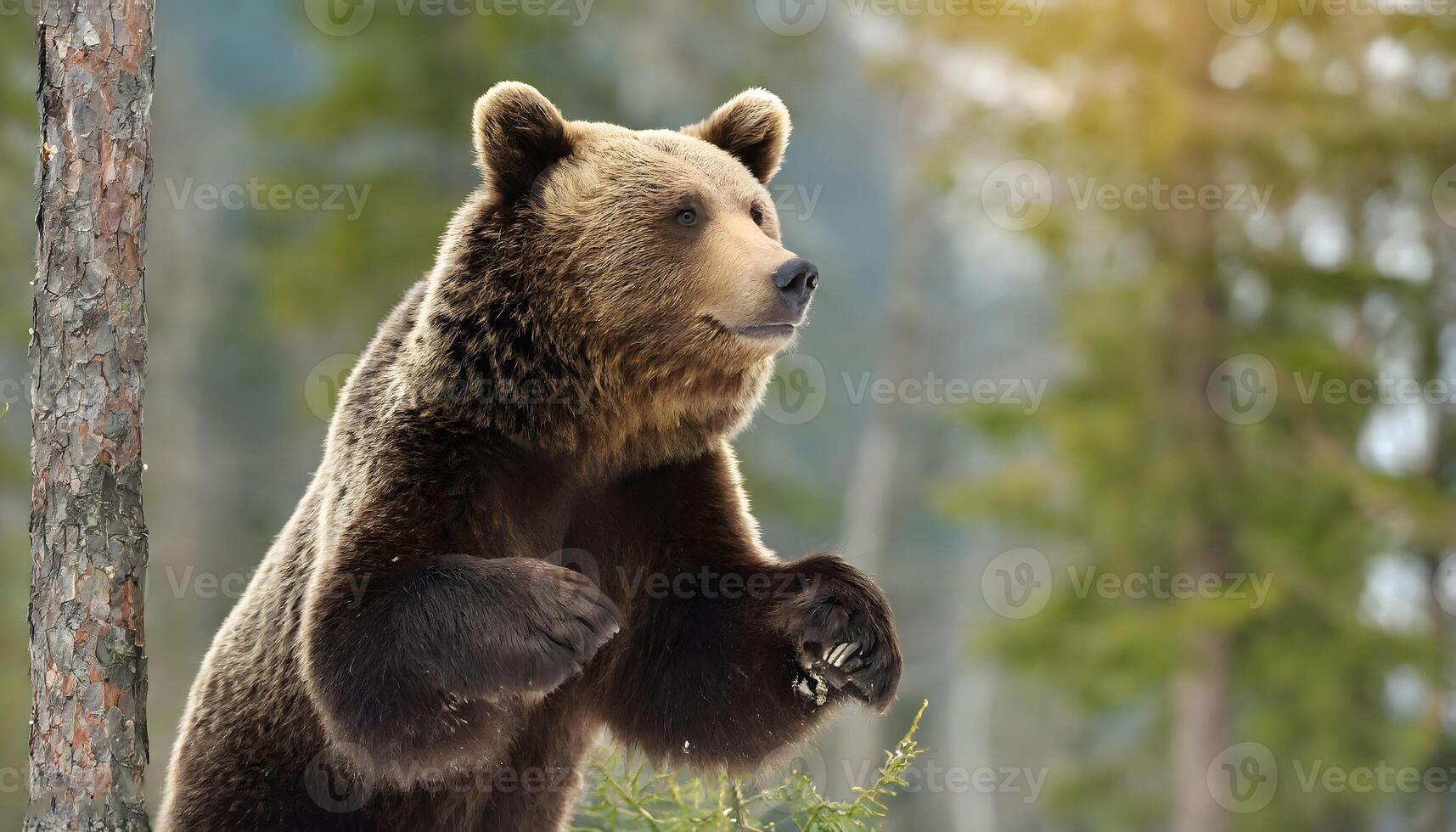 ai generato Marrone grizzly orso avvicinamento in piedi solo nel il foresta foto