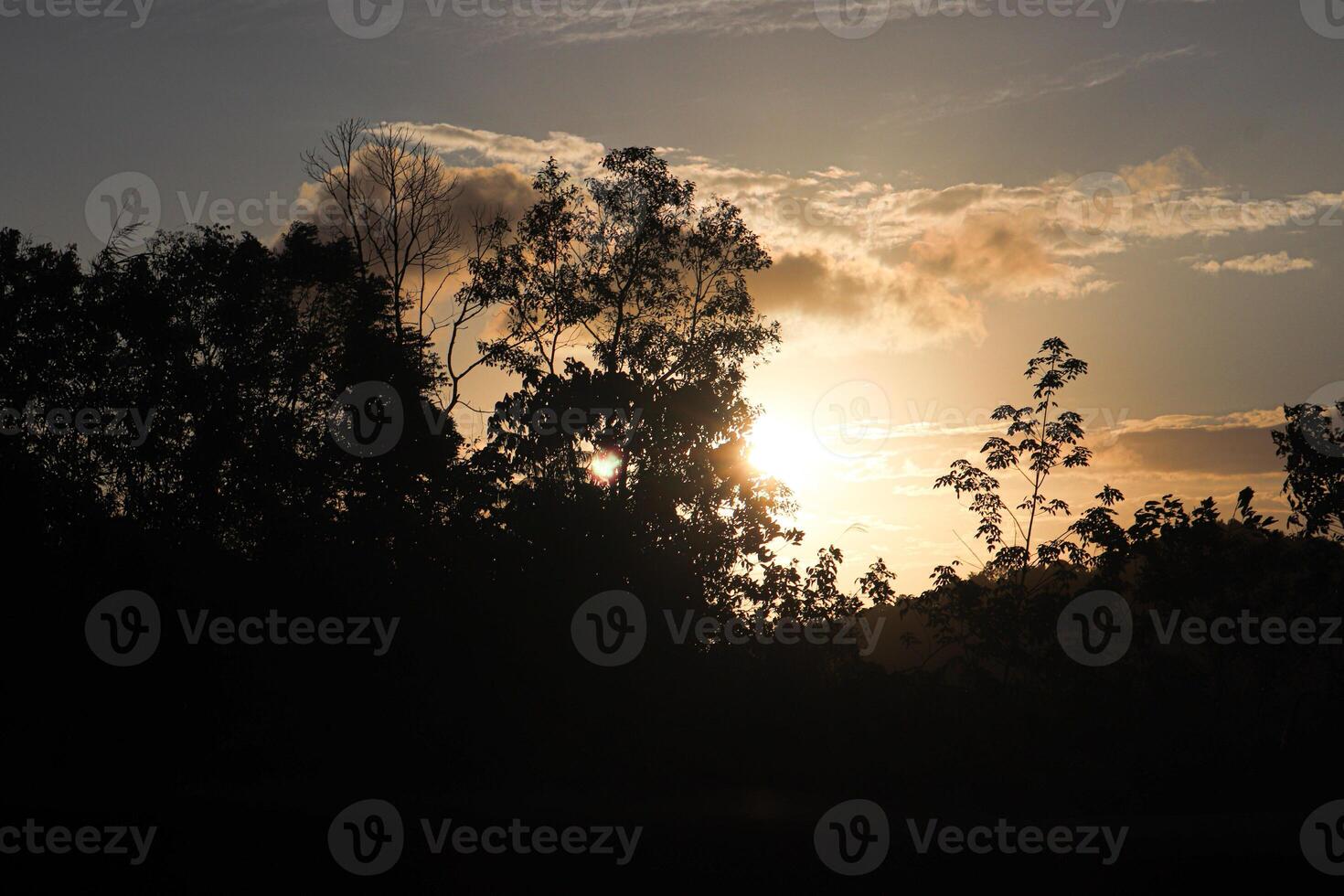 natura fotografia, bellissimo tramonto foto