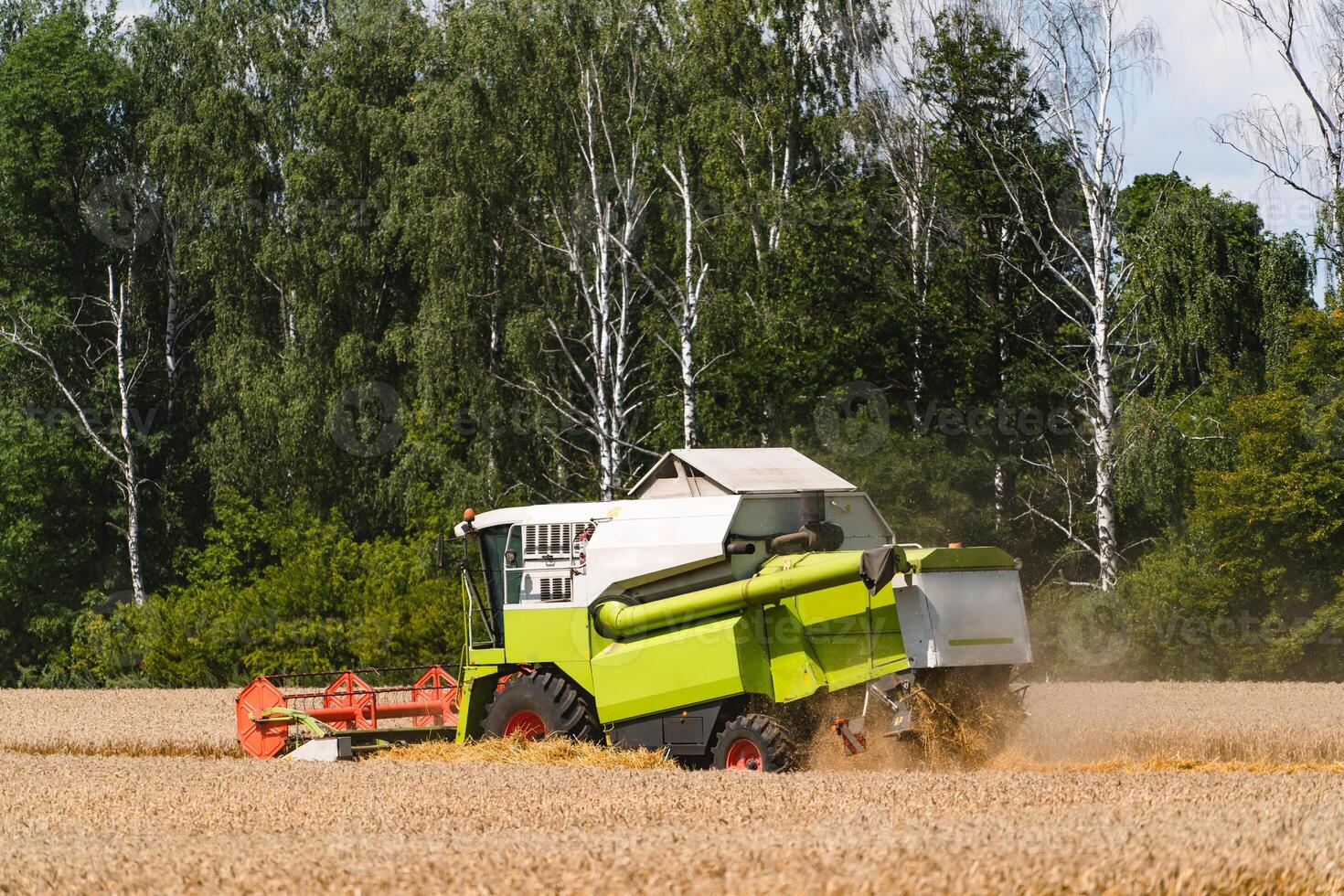 mietitrebbiatrice lavorando su un campo di grano foto