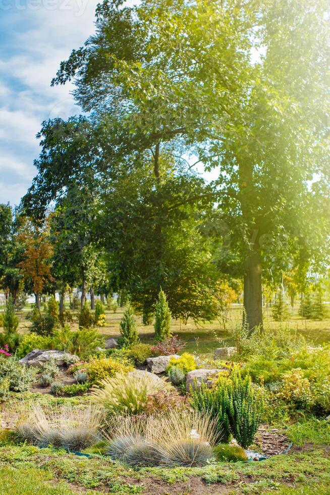 parchi colorato aiuole fiore giallo cerchio estate colore giardino design formale pubblico natura vacanza avvolgimento fiorire sentiero tempo metereologico passerella luce del sole ornamento all'aperto vacanza Bellissima. foto