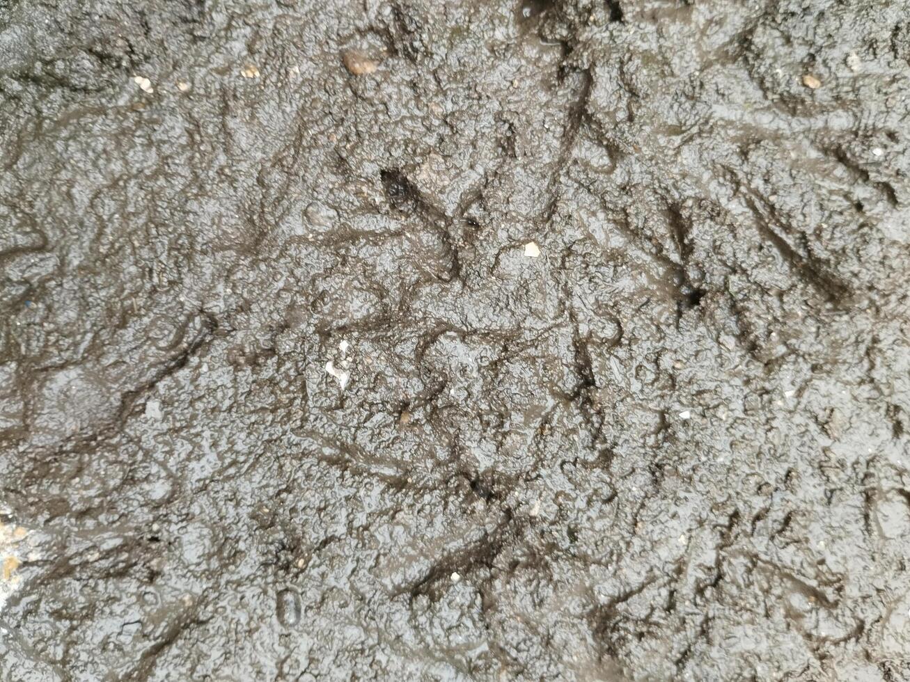 Cracked suolo, siccità suolo, bagnato suolo e fango struttura, bagnato terra. foto