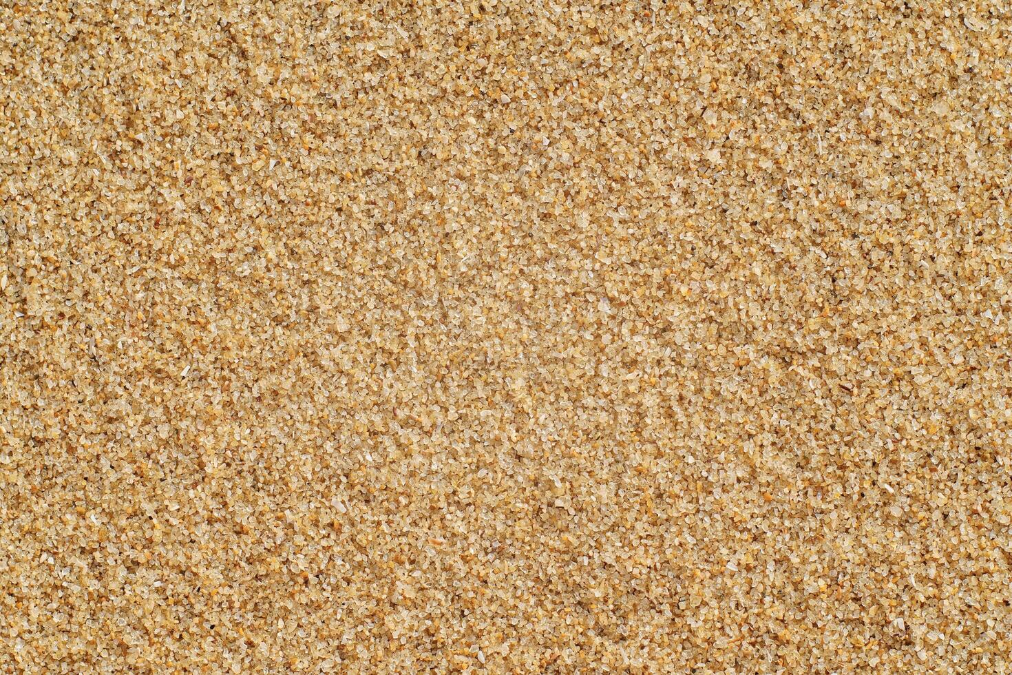 mare spiaggia sabbia superficie struttura foto