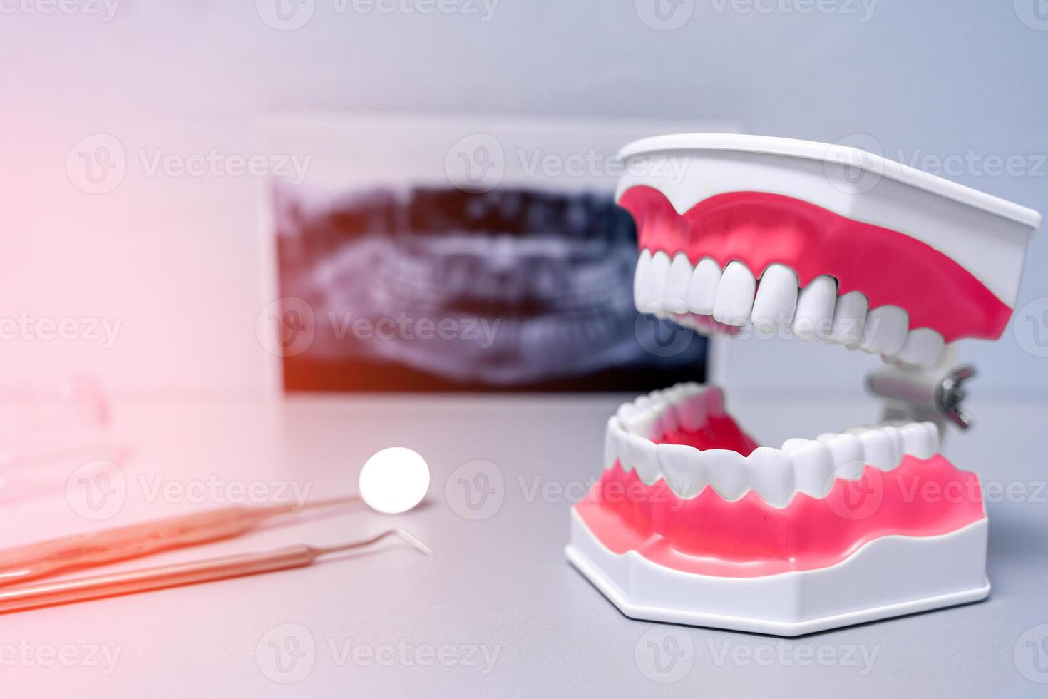 dentale mascella e attrezzatura posa su il tavolo. dentista attrezzatura. foto