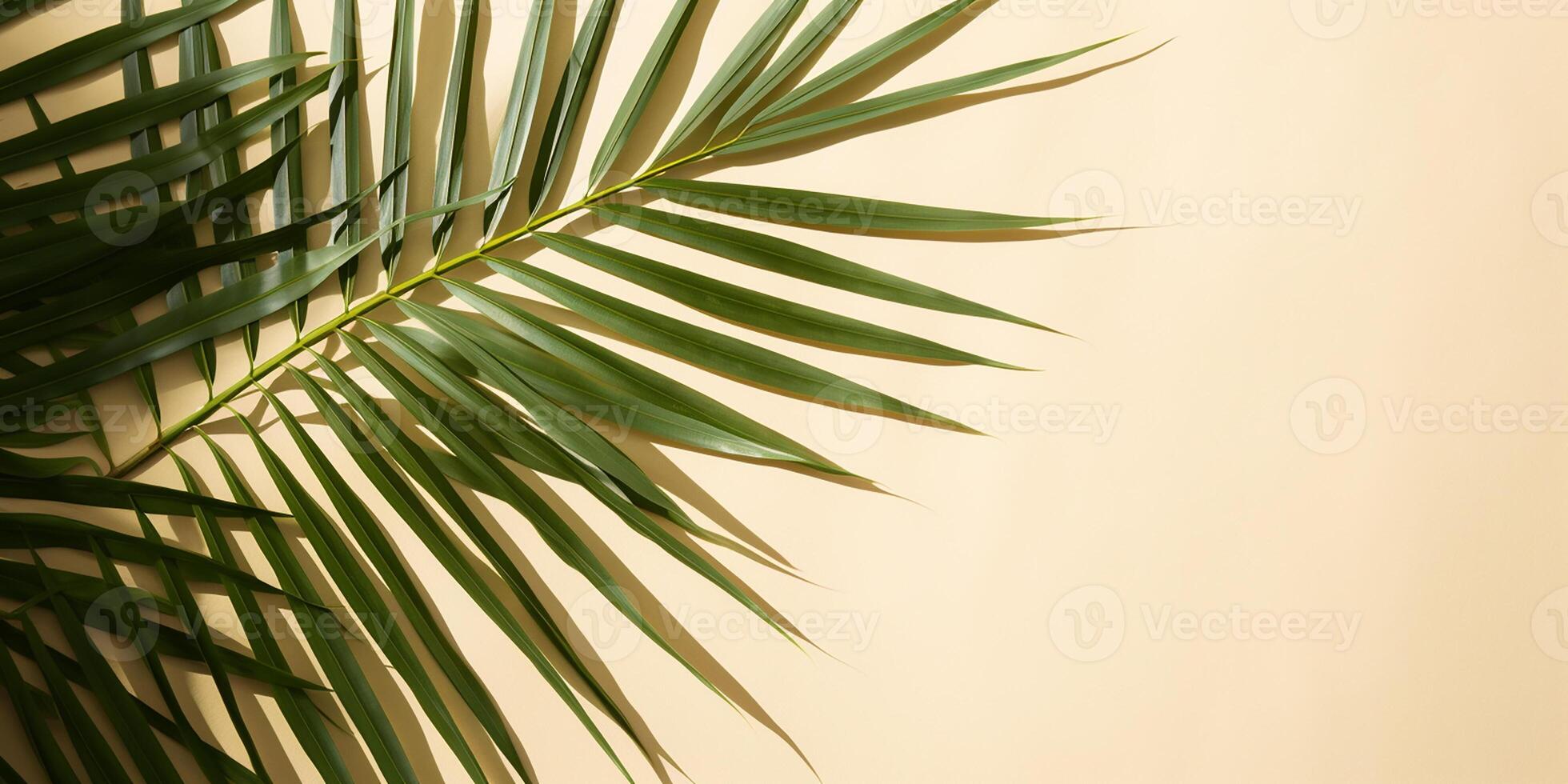 ai generato verde tropicale palma foglia su isolato pastello sfondo. spazio per testo foto