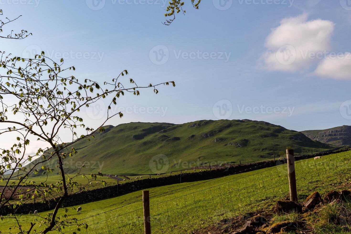 bellissimo paesaggio foto nel yorkshire Dales