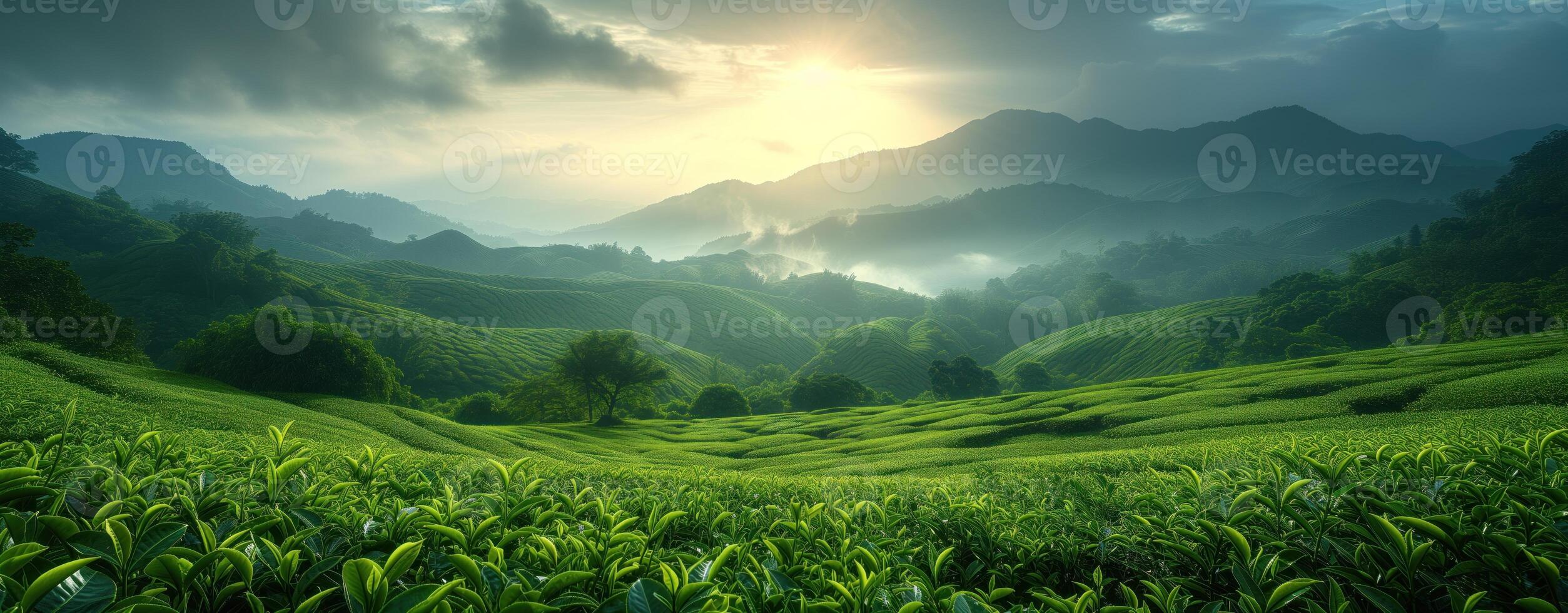 ai generato tè piantagione verde paesaggio nel il montagne foto