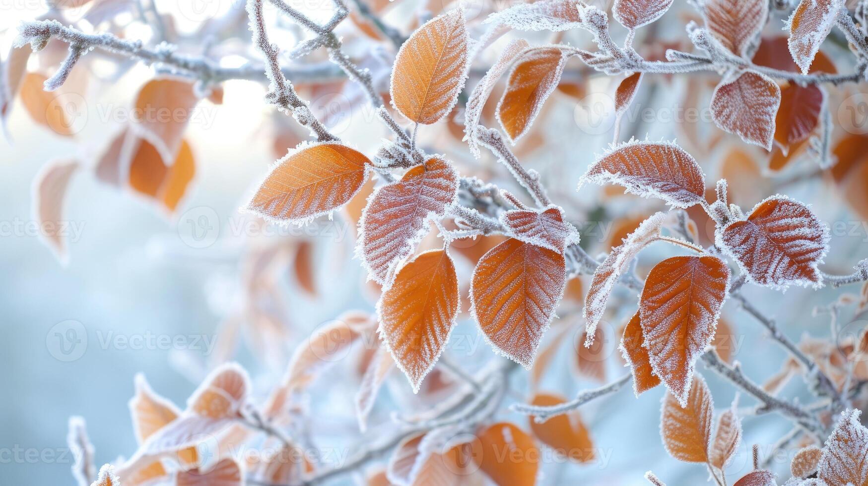 ai generato d'inverno toccare adorna albero le foglie nel brina, un' delicato ghiacciato eleganza emerge, ai generato. foto